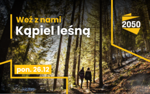 Czas na kąpiele leśne na 2050 sposobów