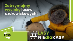Zatrzymajmy wycinkę lasów uzdrowiskowych