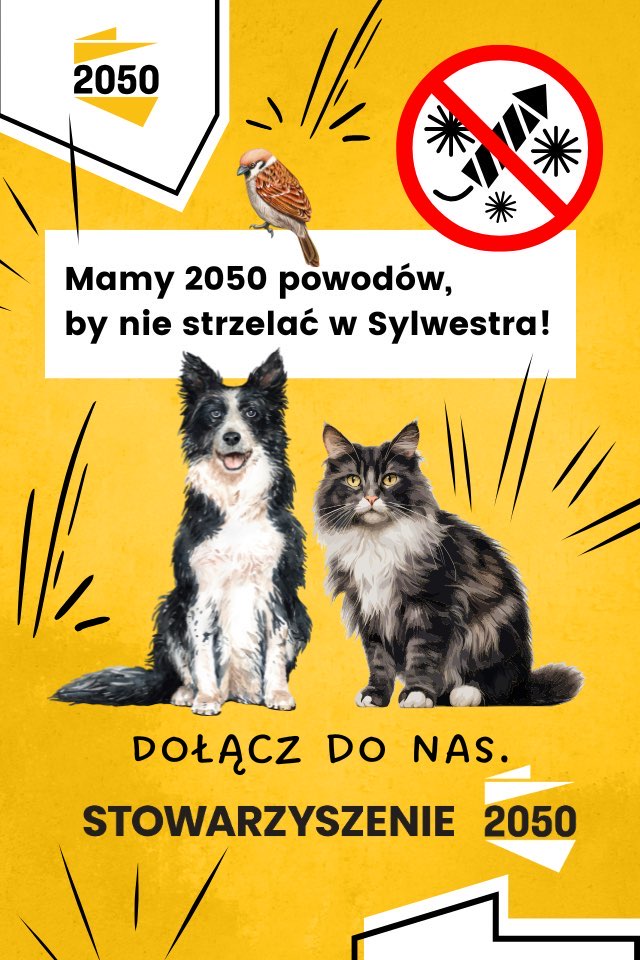 APELUJEMY: NIE STRZELAJ W SYLWESTRA!